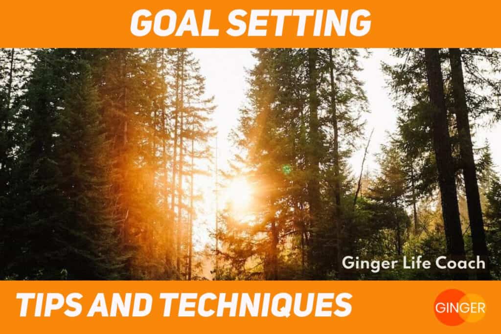 Goal Setting Tips