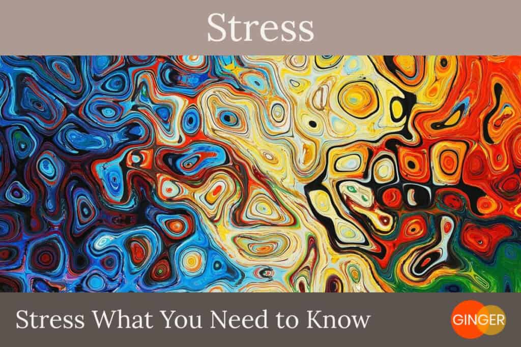 Stress What You Need to Know